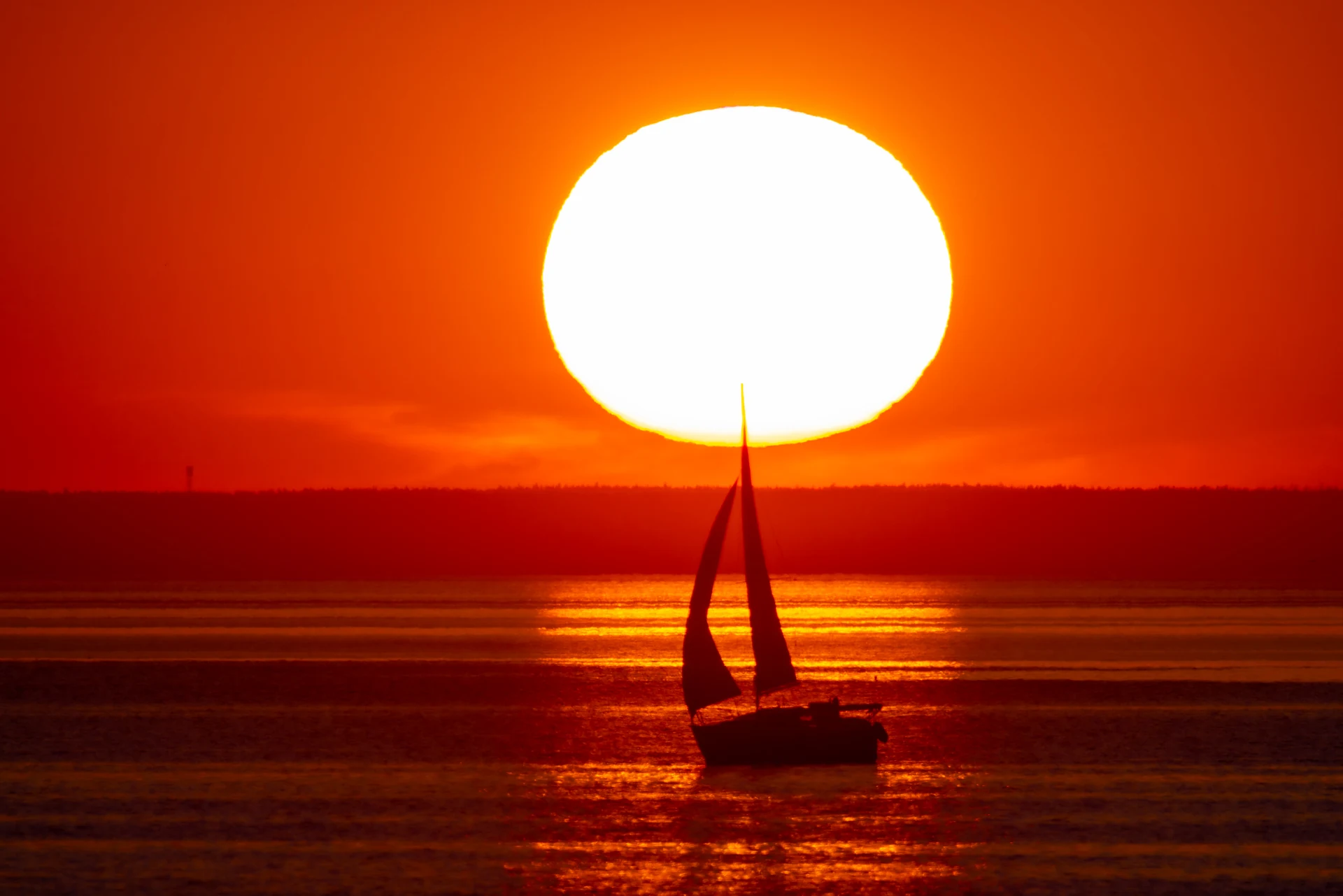 Парусная яхта на закате — съёмка регаты с берега телеобъективом 1200 мм, дальний план парусных гонок